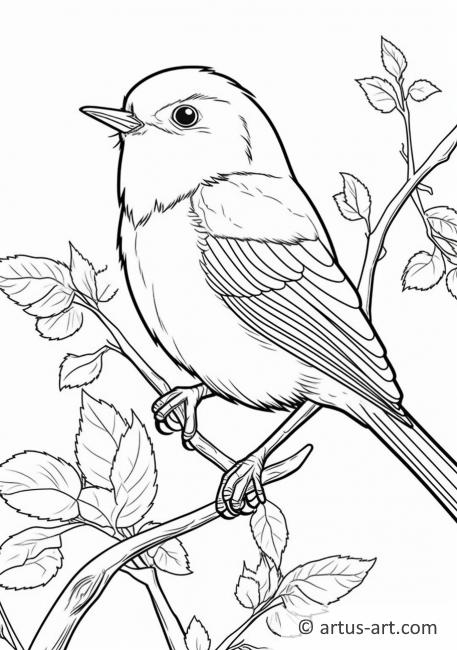 Awesome Nightingale Coloring Page For Kids